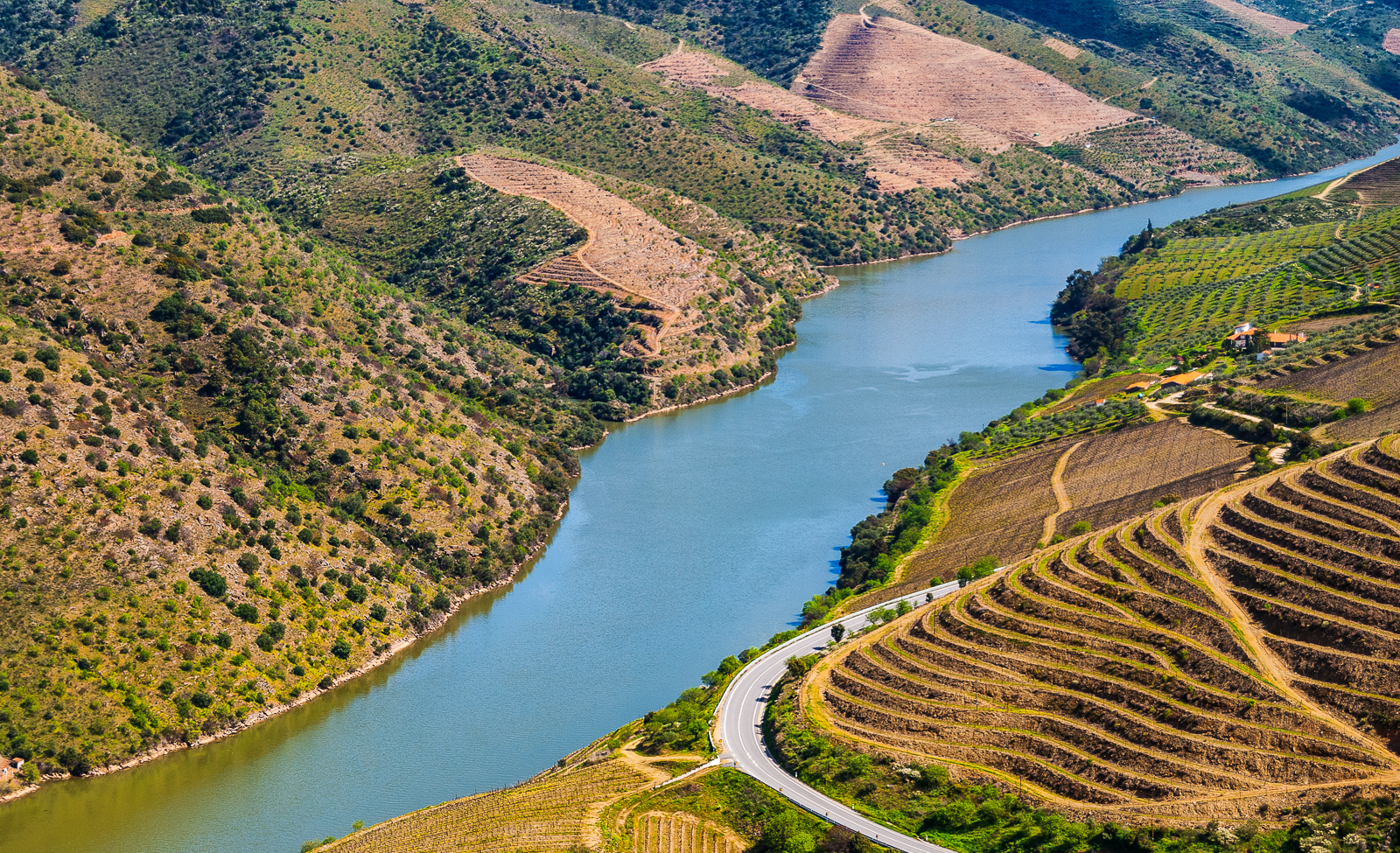 The Douro